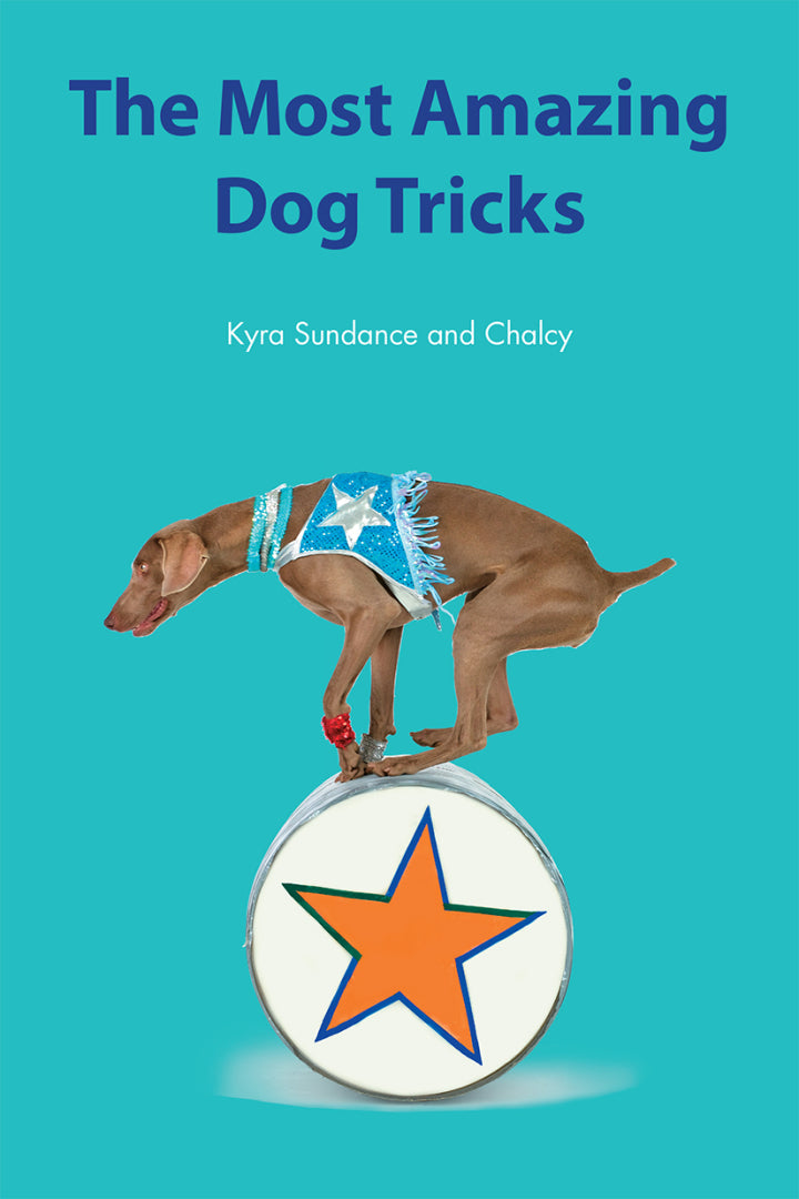 Downloadable PDF :  101 Dog Tricks