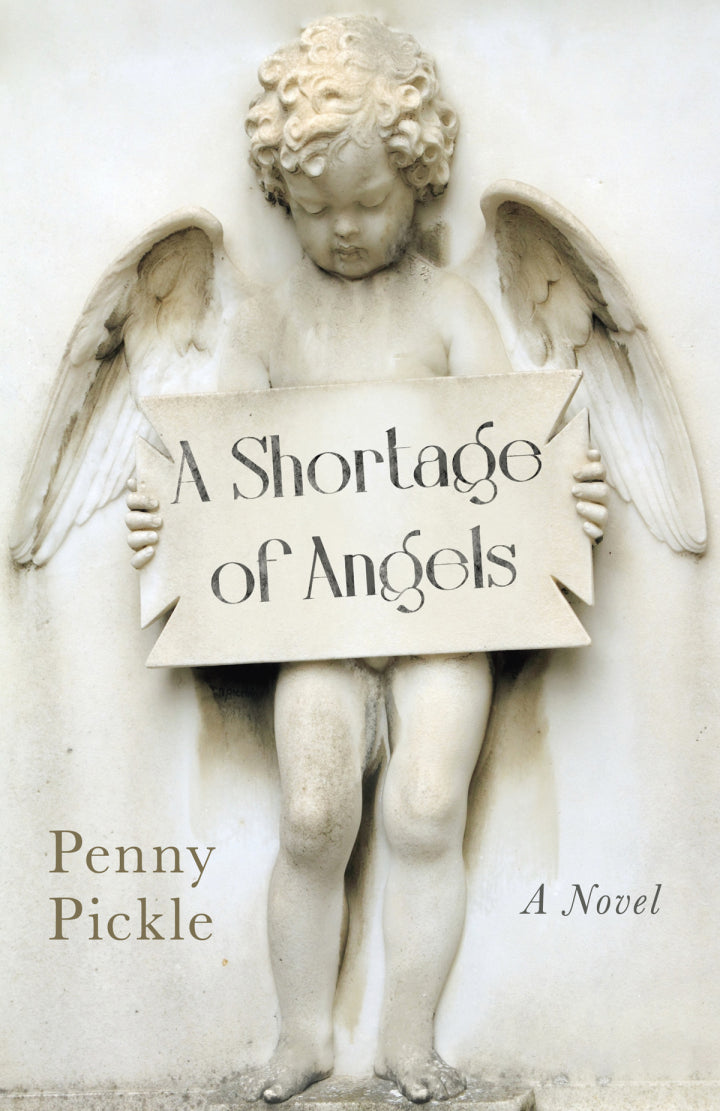 Downloadable PDF :  A Shortage of Angels A Novel